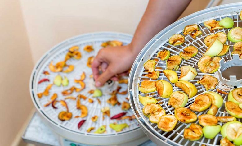 راهنمای خرید میوه خشک کن