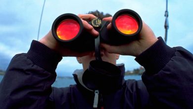 تصویر از راهنمای خرید دوربین شکاری – ۲۰ مدل برتر ۲۰۲۰ – قیمت روز