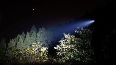 تصویر از بهترین مارک چراغ قوه + ۲۵ مدل فوق العاده ۲۰۲۵ با قیمت روز و عکس