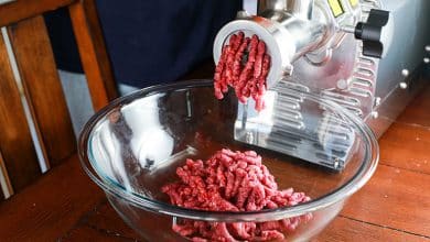 تصویر از بهترین مدل چرخ گوشت پاناسونیک + ۱۰ مدل برتر + نظر خریداران – قیمت روز