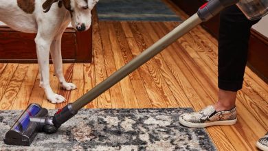 تصویر از جاروبرقی پاناسونیک بهتره یا بوش + معرفی ۱۰ مدل برتر و پرفروش هر دو برند