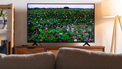 تصویر از بهترین مدل تلویزیون 43 اینچ اسنوا + خرید 5 مدل پرفروش بازار + لیست قیمت
