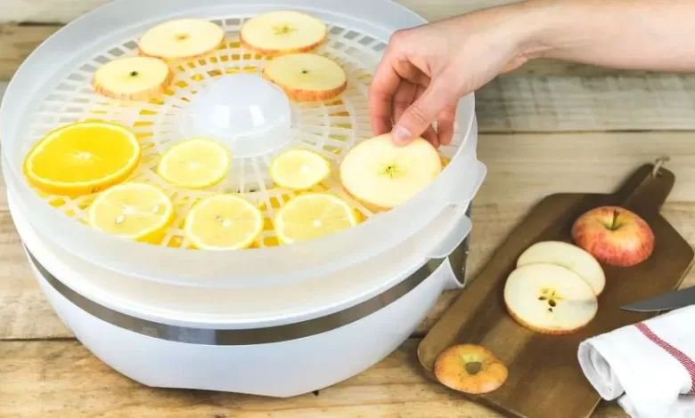 بهترین میوه خشک کن خانگی